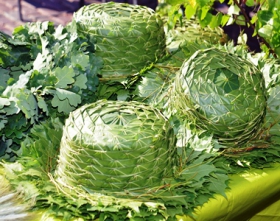 Zāļu tirgus 2014 DOMA LAUKUMĀ