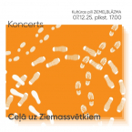 CEĻĀ UZ ZIEMASSVĒTKIEM / deju kolektīvu koncerts