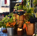 MIĶEĻDIENAS GADATIRGUS  Doma laukumā